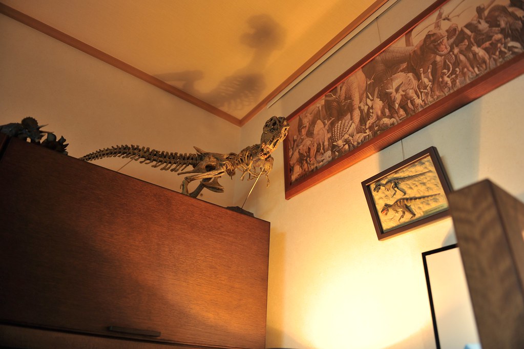 Man cave office